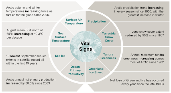 Bulletin de l'Arctique : Signes vitaux avec une sélection de tendances et d'observations notables.