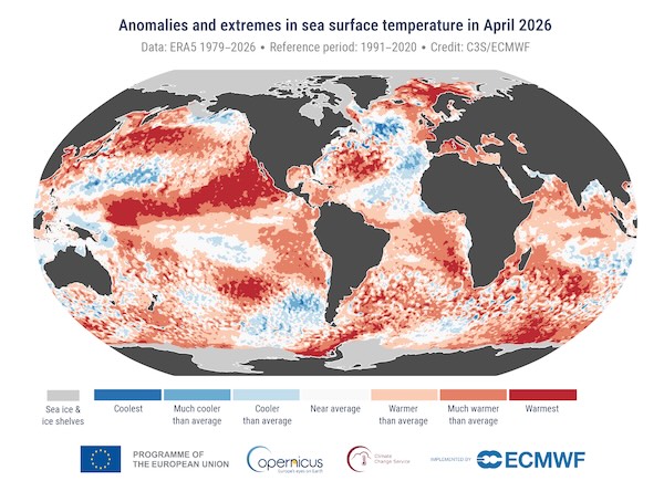 Anomalies and extremes in sea surface temperature in April 2026