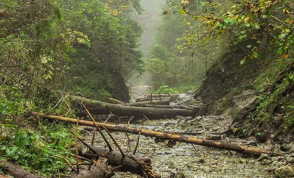 Tatra NP, Rackova Dolina Valley