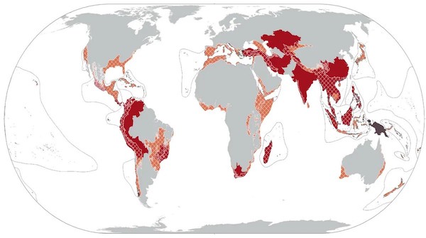 « Points sombres » de la biodiversité