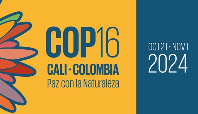 COP16 sur la biodiversité